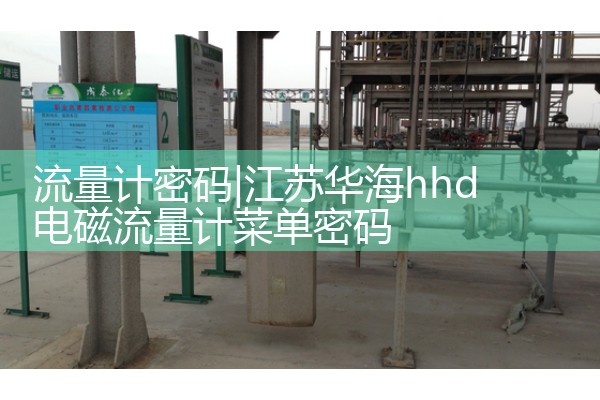 Flow meter password